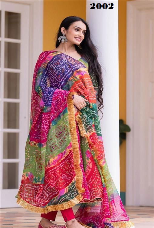 Gangour Nx Multipul Colourful Dupatta With Maxy Gown Catalog